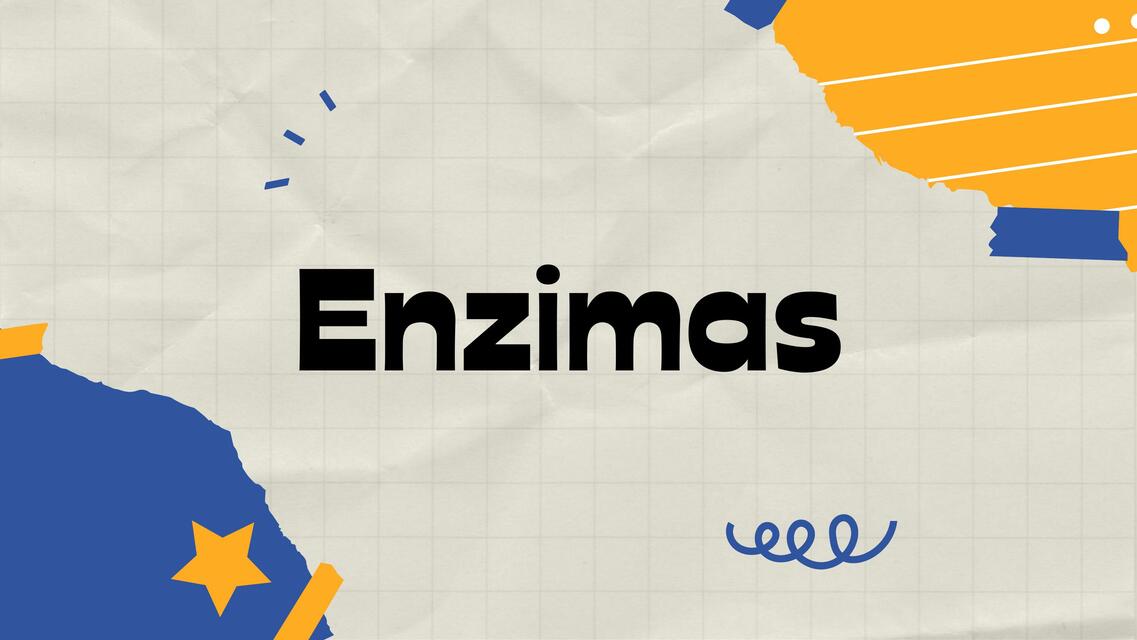 Enzimas