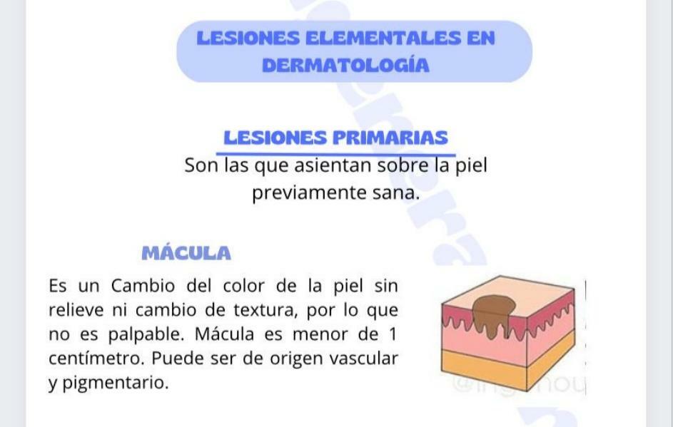 Lesiones Elementales en Dermatología