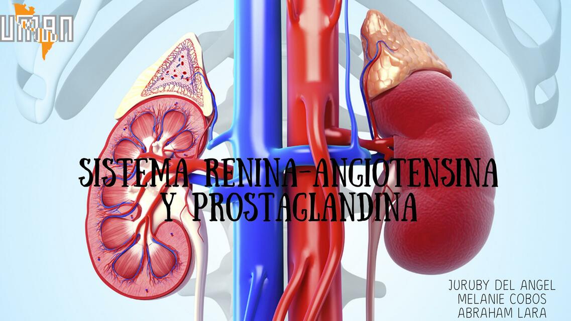 Sistema Renina-Angiotensina y Prostaglandina 