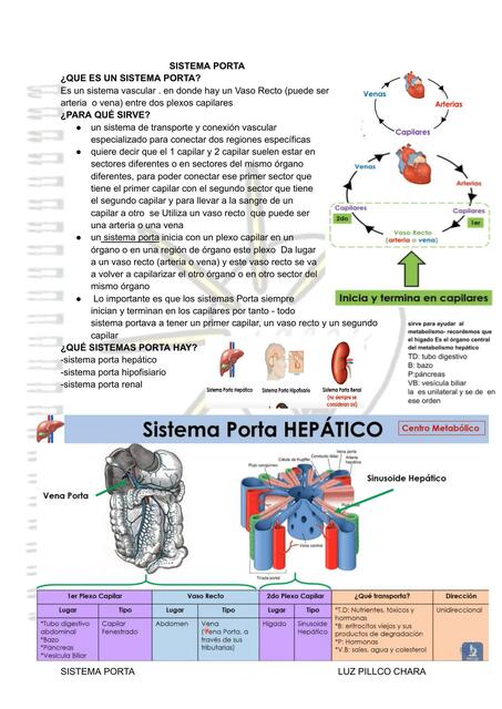 Sistema Porta 