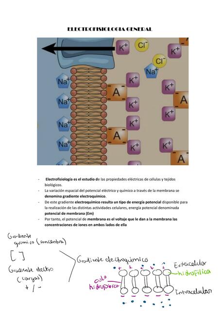 Electrofisiología General Mishelle Valencia uDocz