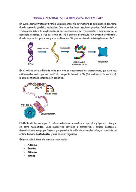 Dogma Central de la Biología Molecular 