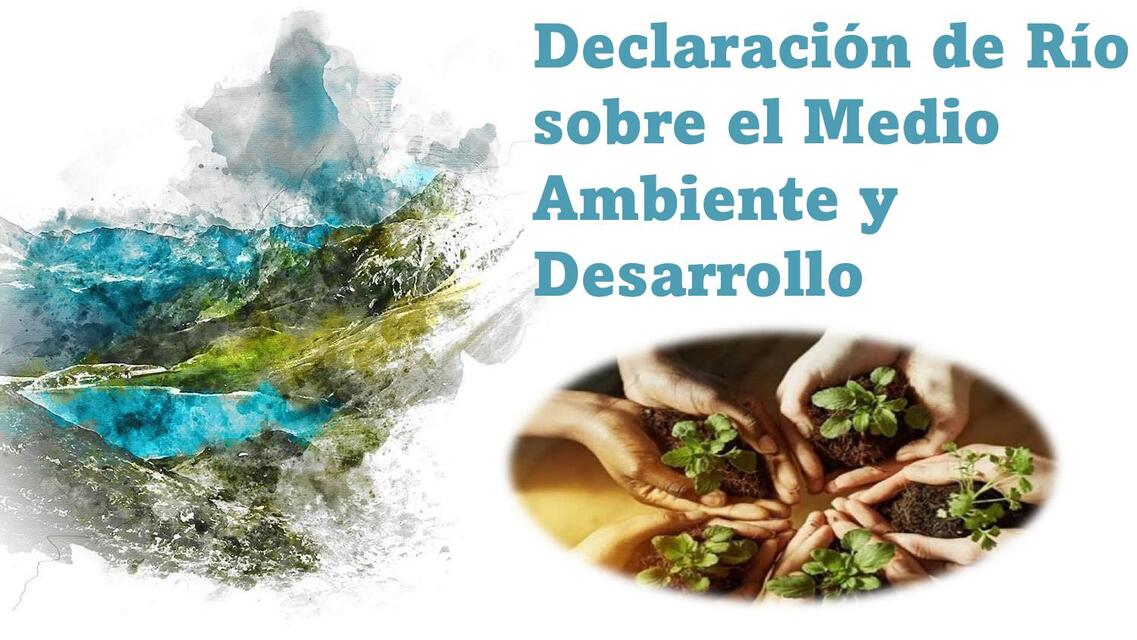 Declaración de Río sobre el Medio Ambiente y Desarrollo 