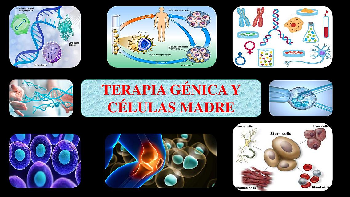 TERAPIA GÉNICA