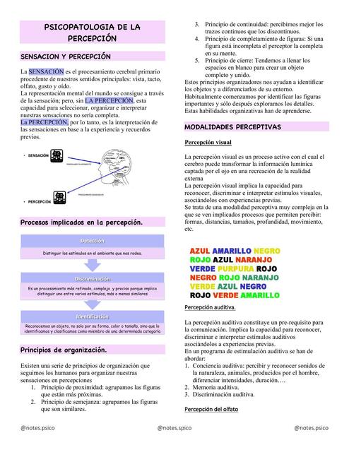 Psicopatología de la percepción