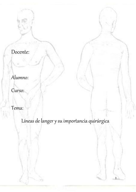 Líneas de Langer y su Importancia Quirúrgica