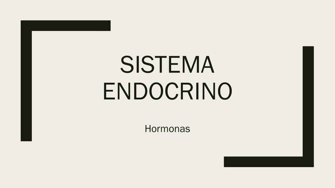 Sistema Endocrino 