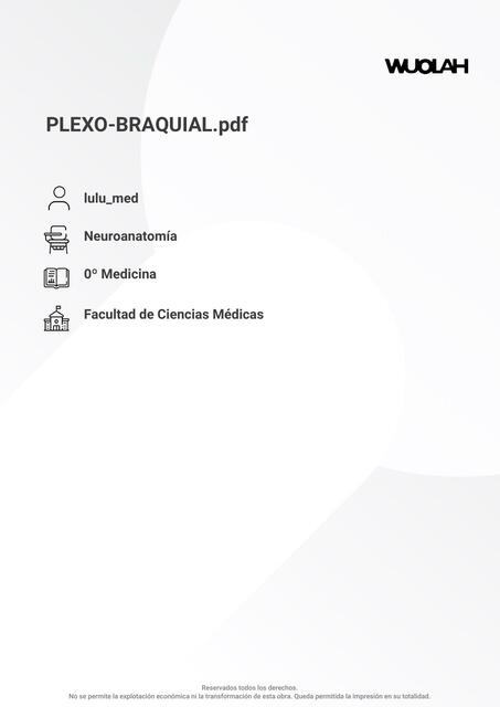 Plexo Braquial 