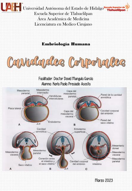 Cavidades Corporales  