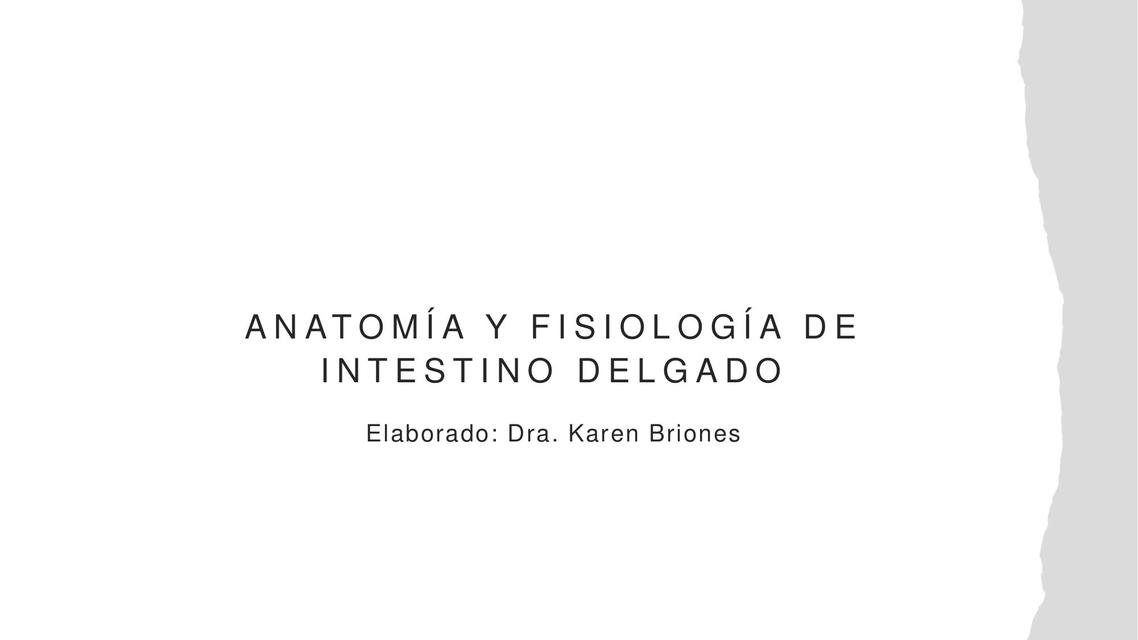 Anatomía y fisiología de intestino delgado 