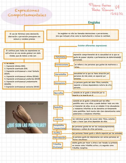 Expresiones Comportamentales   