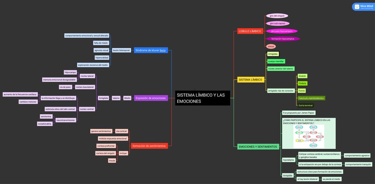 Sistema Límbico y las Emociones 