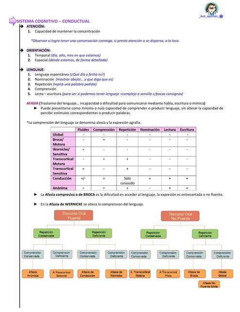 Sistema Cognitivo Conductual Evaluación  Neurológica 