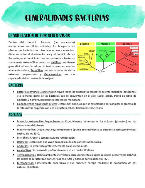 Generalidades Bacterias