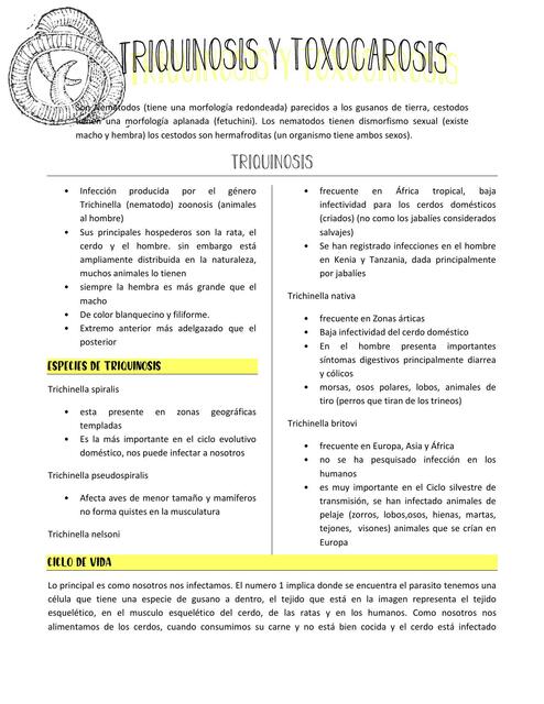 Triquinosis y Toxocarosis