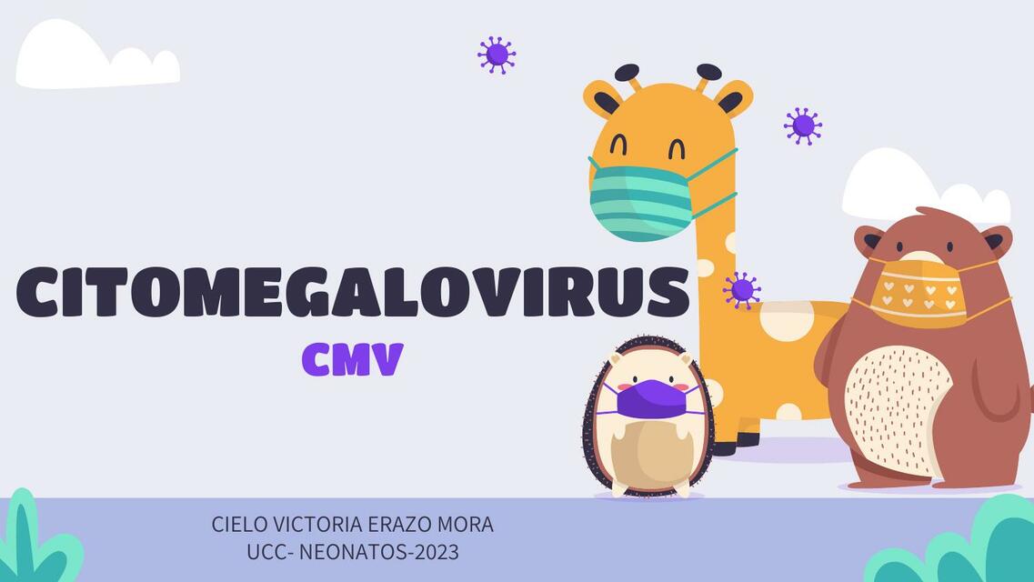 Citomegalovirus 