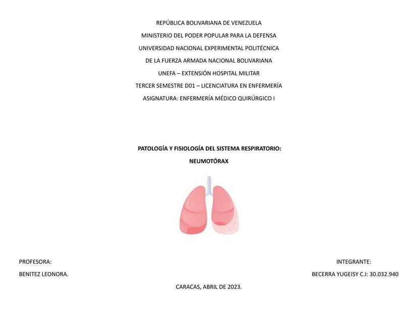 Patología y Fisiología del Sistema Respiratorio. Neumotórax 