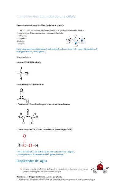 Componentes Químicos de una Célula