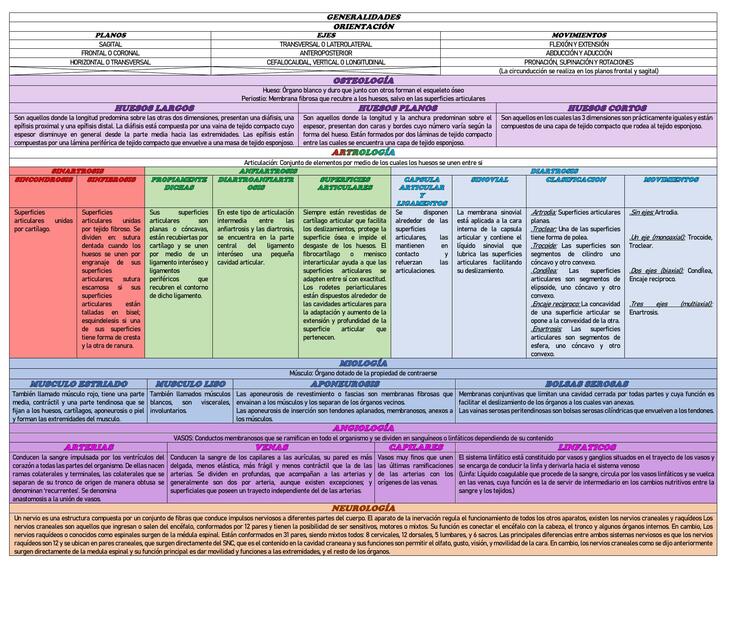 Generalidades de Anatomía 