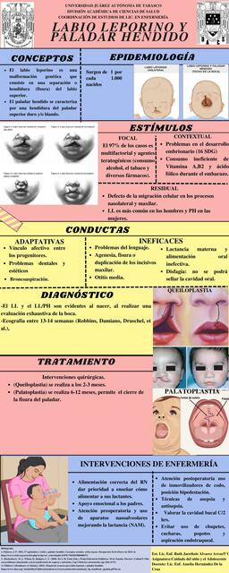 Tarea  6 Labio  Leporino 