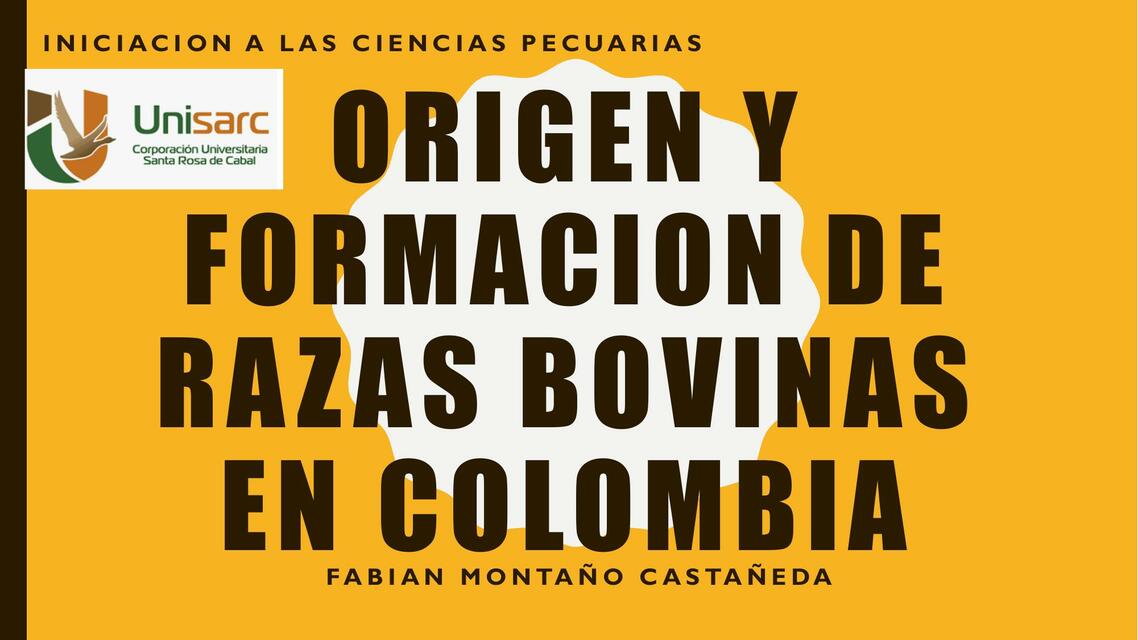 Origen y Formación de Razas Bovinas en Colombia 