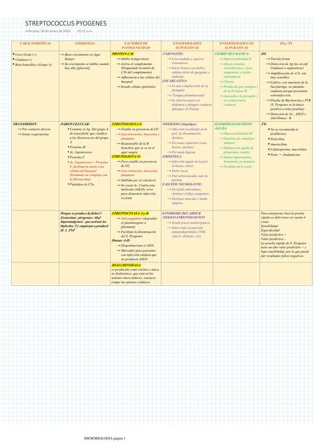 Streptococcus Pyogenes 