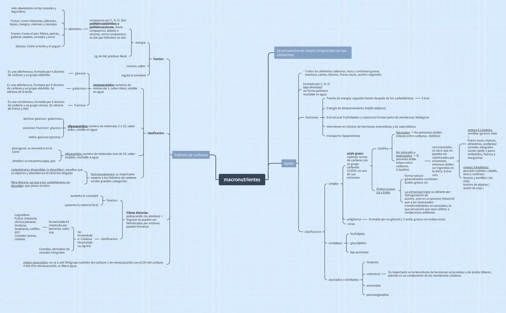 Macronutrientes 