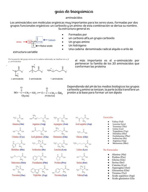 Bioquímica 