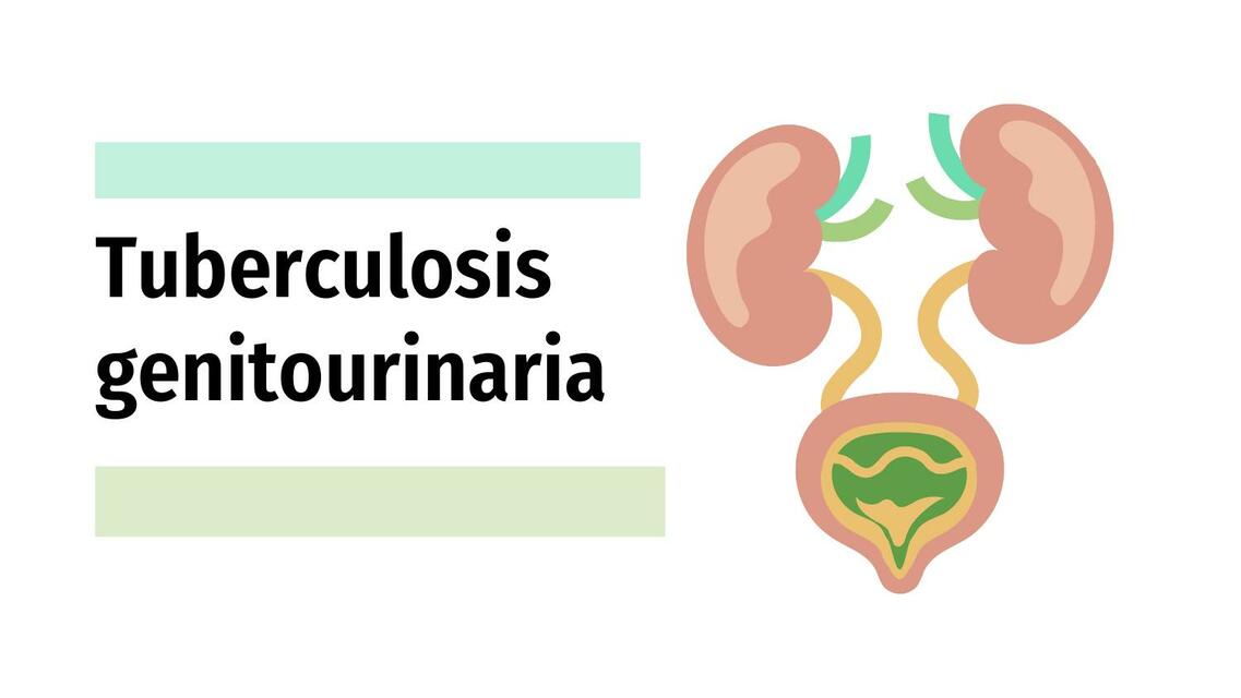 Tuberculosis Genitourinaria