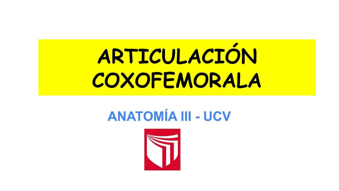 Articulación Coxofemoral 