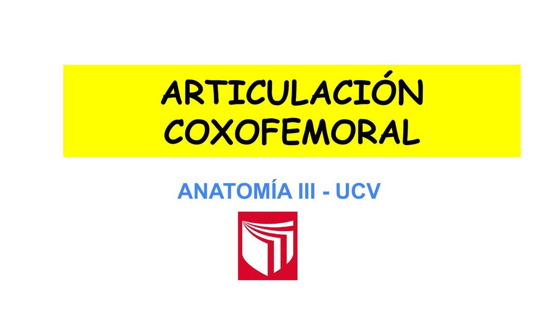 Articulación Coxofemoral