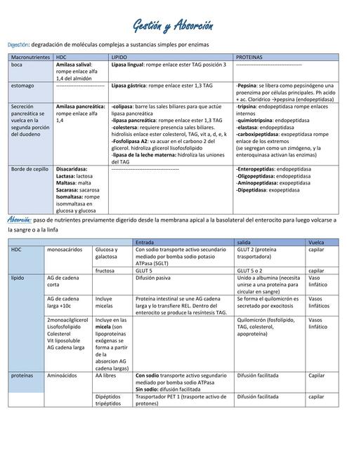 Digestión y Absorción
