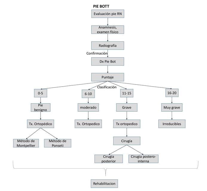 PIE BOT LUCY ANGIE CACHI QUINTEROS uDocz