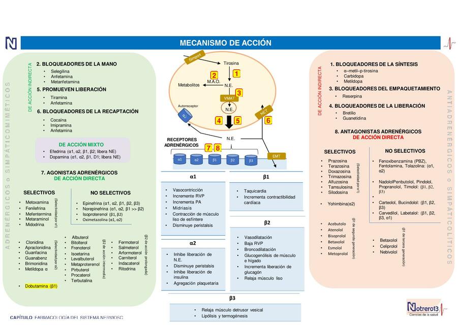 Adrenérgicos y Antiadrenérgicos 