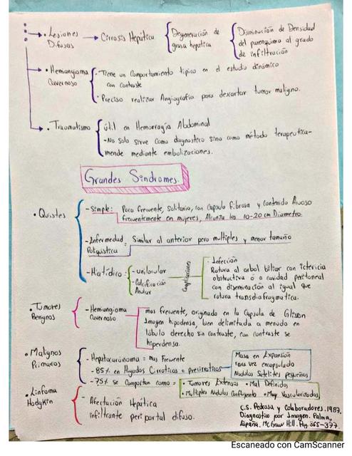 Semiología del hígado 3 Dr Arrinda