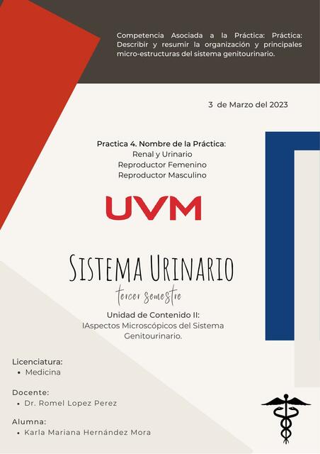 Renal y Urinario- Reproductor Femenino- Reproductor Masculino