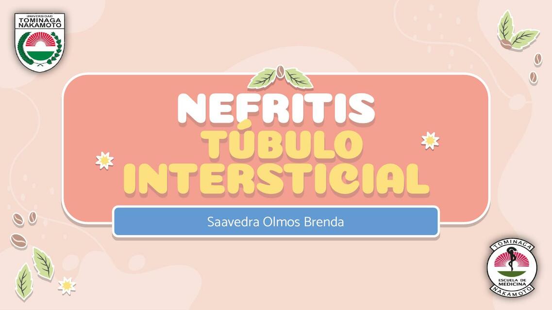 Nefritis Túbulo Intersticial 