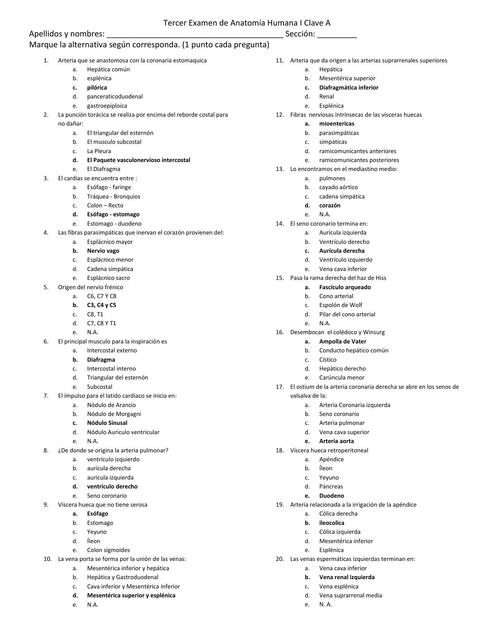 Tercer Examen de Anatomía Humana 