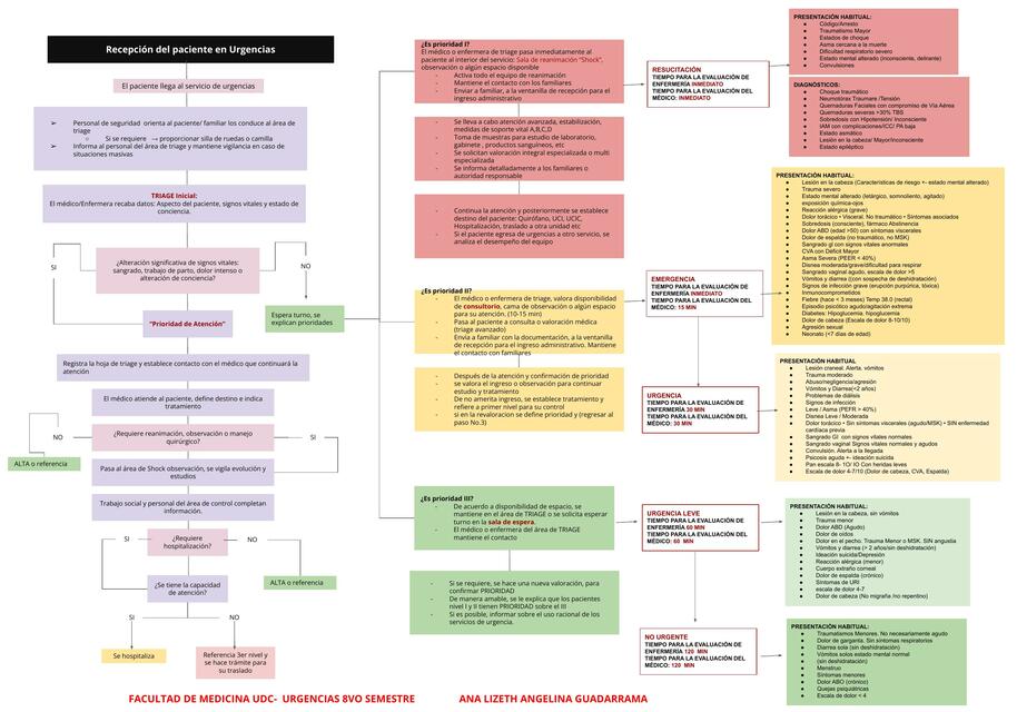 Recepción  Del Paciente En Urgencias 