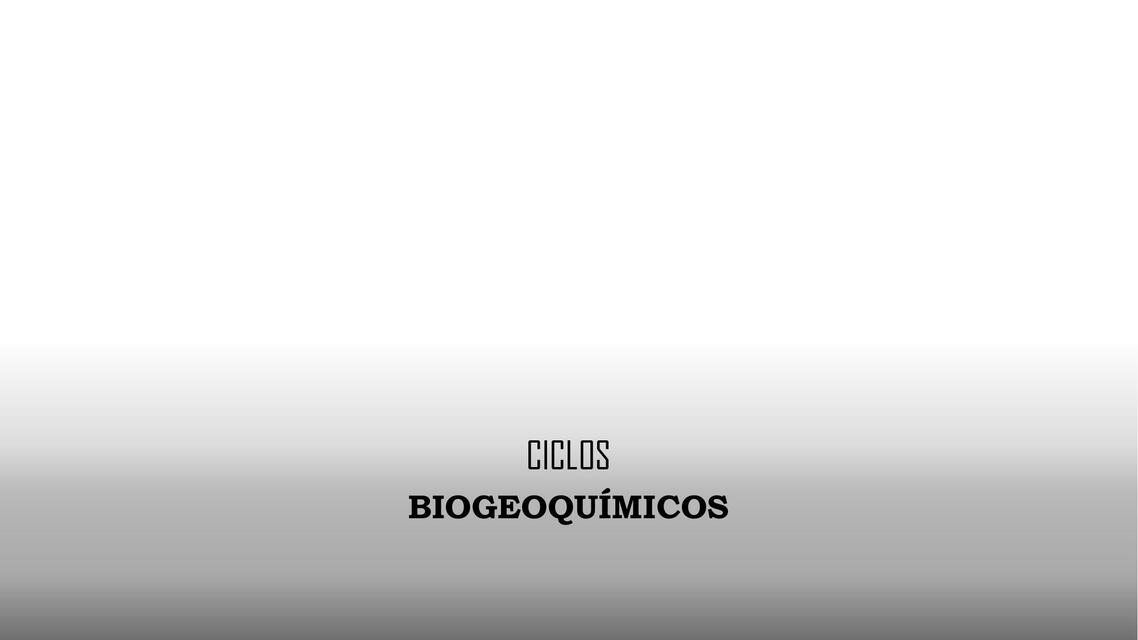 Ciclo Biogeoquímico 