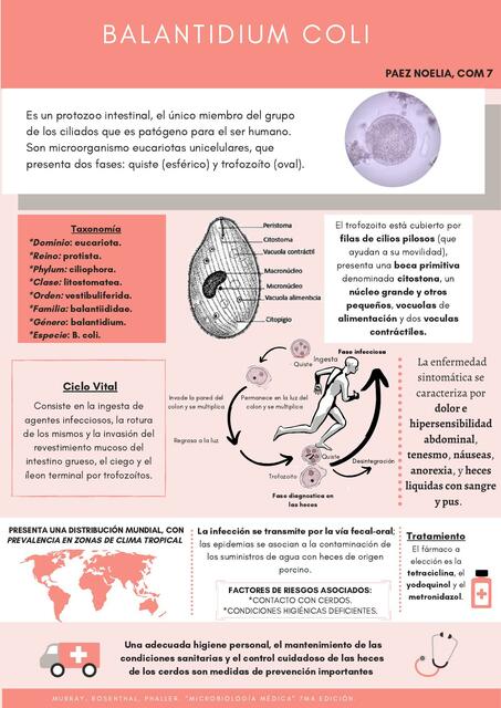 Balantidium Coli