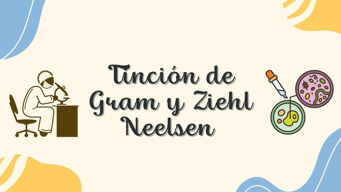 Tinción de Gram y Ziehl Neelsen