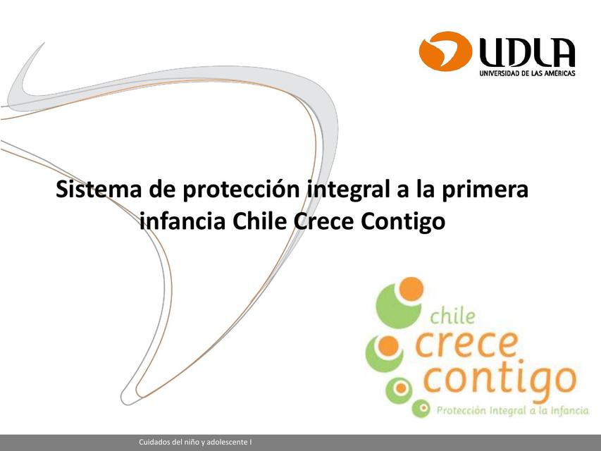 Sistema de protección integral a la primera infancia 