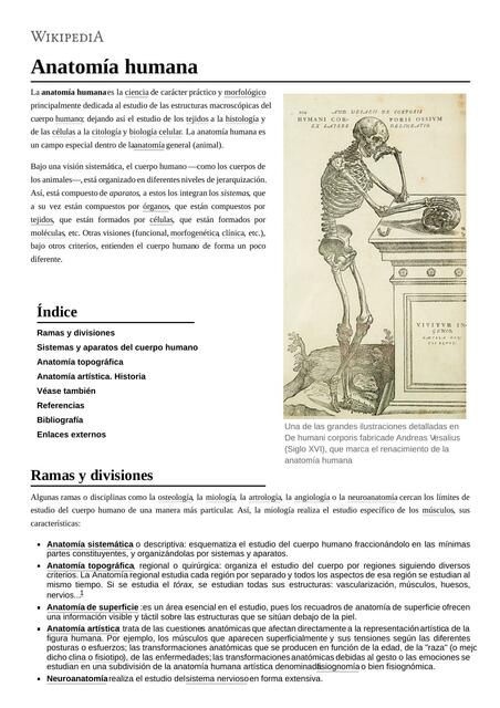 Resumen Anatomía Humana | Enfermería | uDocz
