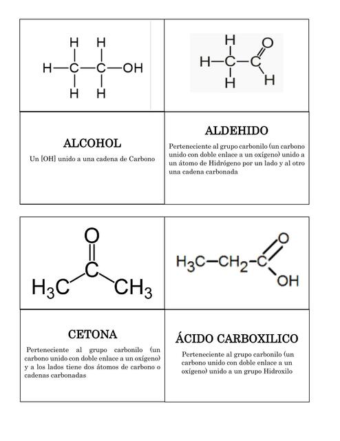 Flashcards Biología 