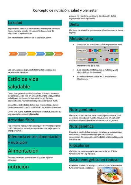 Nutrición, salud y bienestar