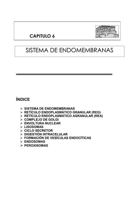 Sistema de Endomembranas 