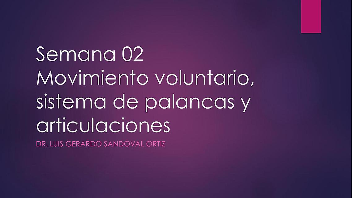 Movimiento voluntario Fiorella Dioses uDocz
