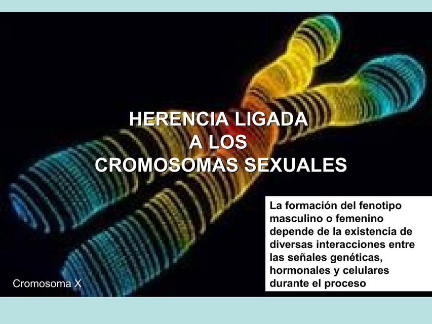 Herencia Ligada a los Cromosomas Sexuales