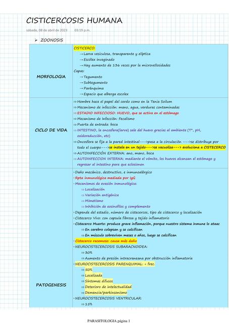 Cisticercosis Humana 